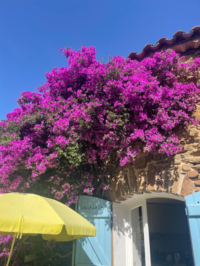 Maison De Vacances Medievale Bormes-Les-Mimosas Village Kültér fotó