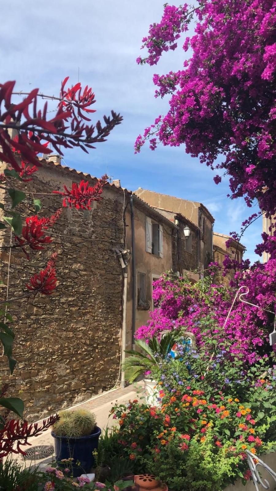 Maison De Vacances Medievale Bormes-Les-Mimosas Village Kültér fotó