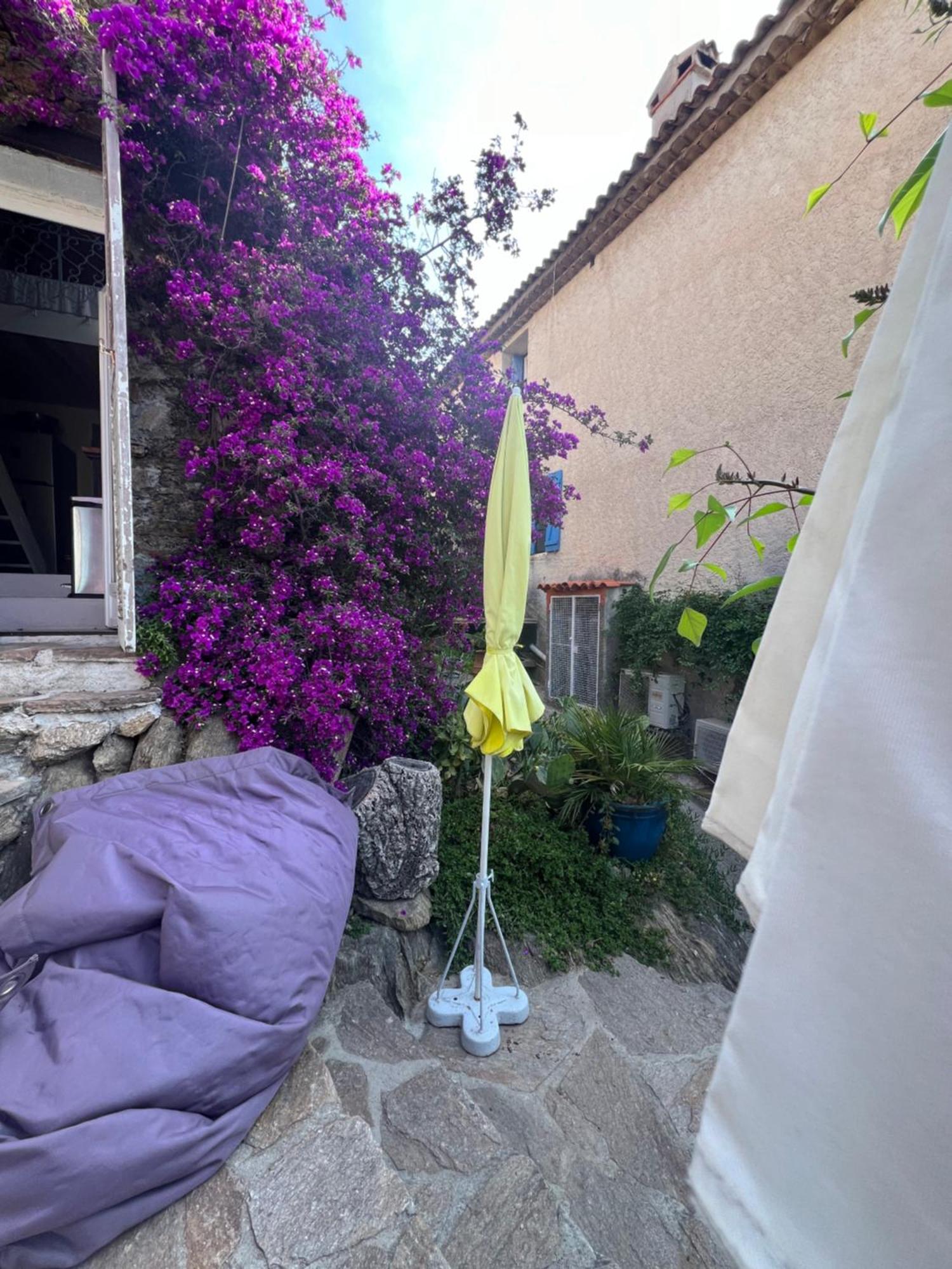 Maison De Vacances Medievale Bormes-Les-Mimosas Village Kültér fotó